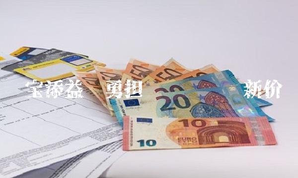 华宝添益——勇担风险驱动创新价值