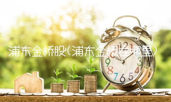 浦东金桥股(浦东金桥在哪里)