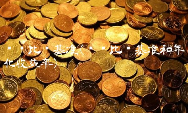 业绩比较基准(业绩比较基准和年化收益率)