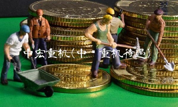 中宏重机(中鸿重机待遇)