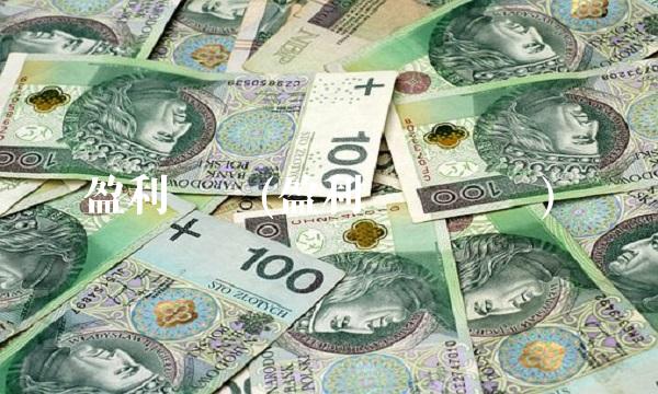 盈利风险(盈利风险识别)