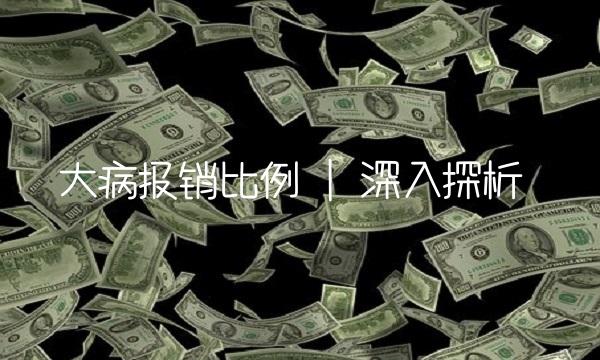 大病报销比例 深入探析