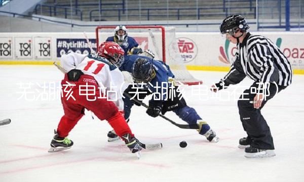 芜湖核电站(芜湖核电站在哪)