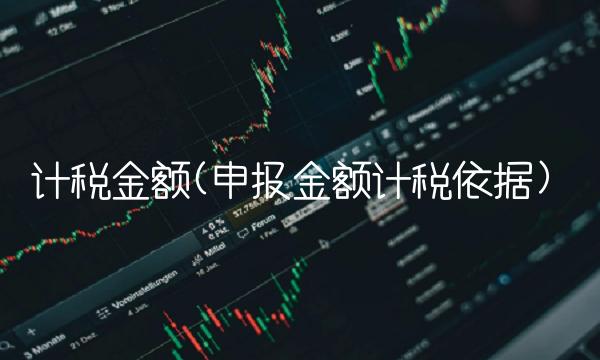 计税金额(申报金额计税依据)