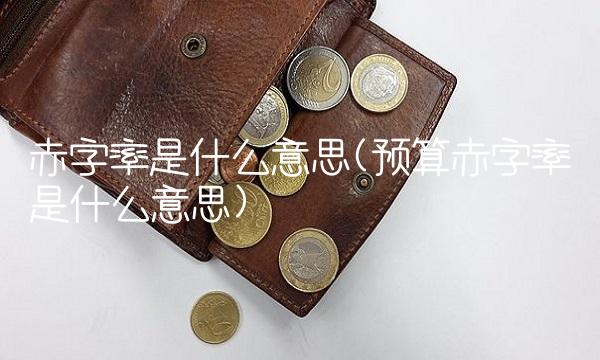 赤字率是什么意思(预算赤字率是什么意思)