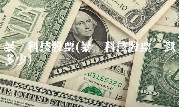 暴风科技股票(暴风科技股票涨到多少)