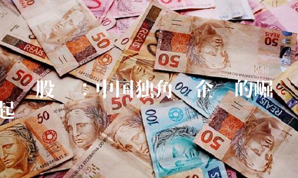 狮头股份：中国独角兽企业的崛起