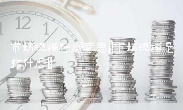 市场规模什么意思(市场规模是指什么)