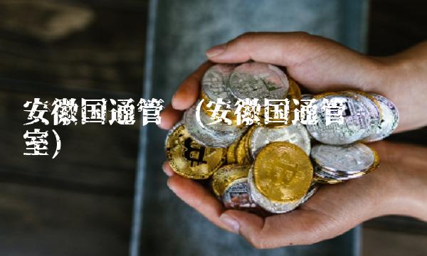 安徽国通管业(安徽国通管业实验室)