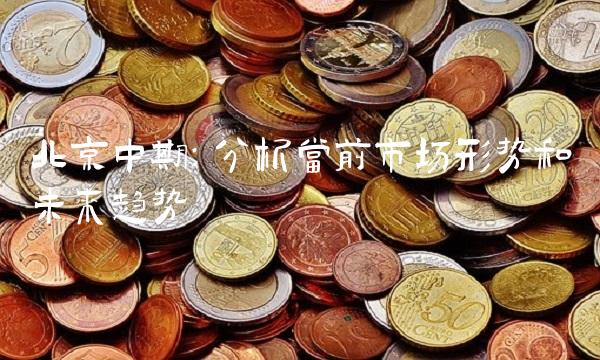 北京中期：分析当前市场形势和未来趋势