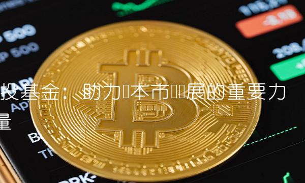 国投基金：助力资本市场发展的重要力量