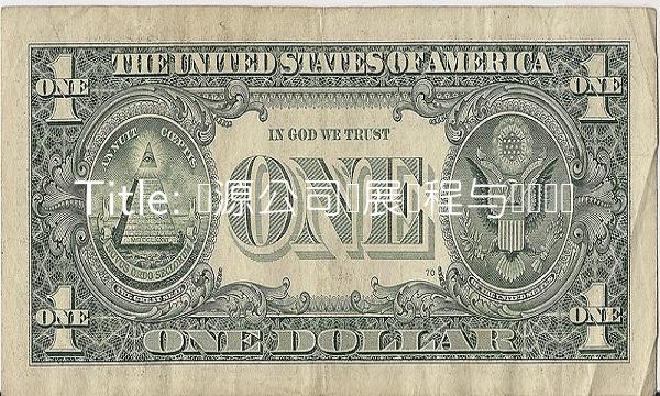 Title 华源公司发展历程与经验总结