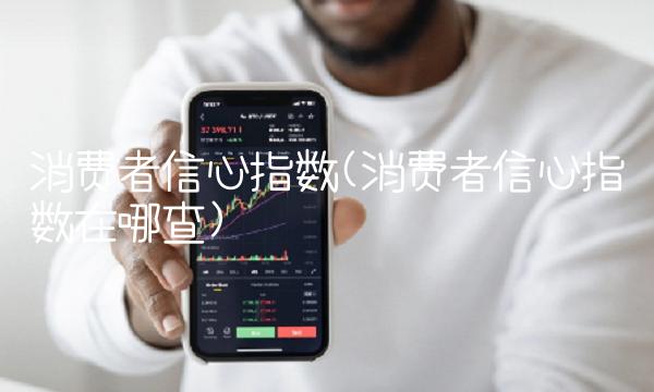 消费者信心指数(消费者信心指数在哪查)