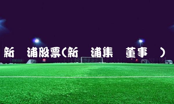新黄浦股票(新黄浦集团董事长)