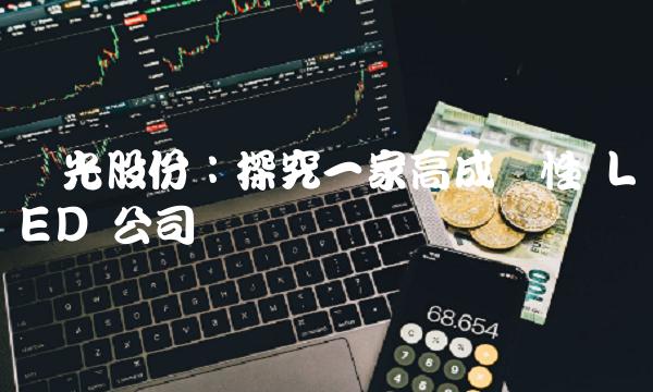 沪光股份：探究一家高成长性 LED 公司