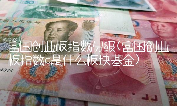 富国创业板指数分级(富国创业板指数c是什么板块基金)(1)