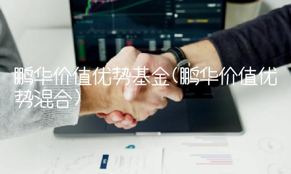 鹏华价值优势基金(鹏华价值优势混合)