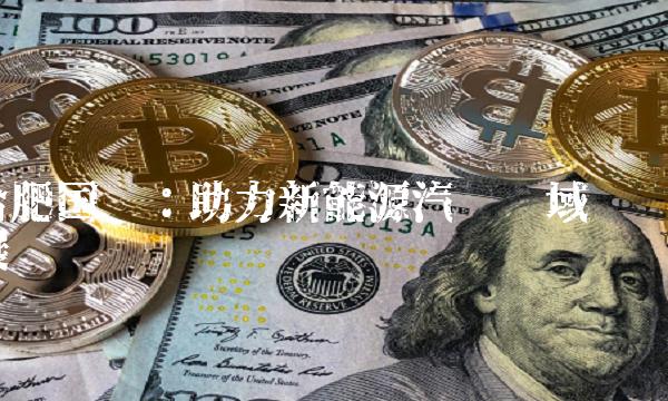 合肥国轩：助力新能源汽车领域发展