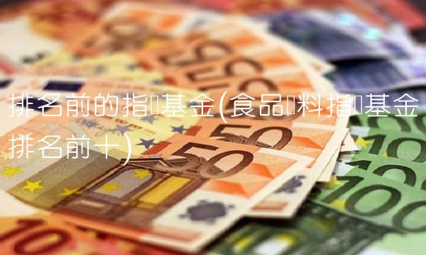 排名前的指数基金(食品饮料指数基金排名前十)