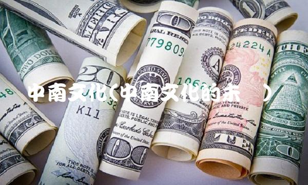中南文化(中南文化的未来)