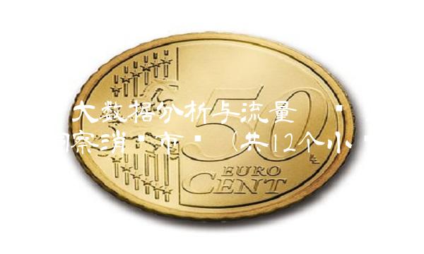 京东大数据分析与流量运营：深度洞察消费市场（共12个小节）