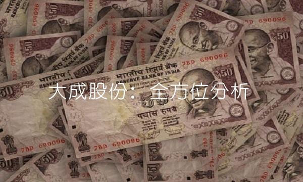 大成股份：全方位分析
