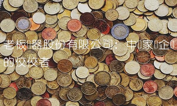 老板电器股份有限公司：中国家电企业的佼佼者