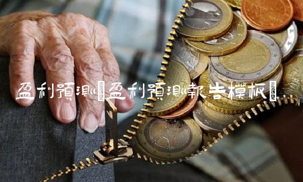 盈利预测(盈利预测报告模板)