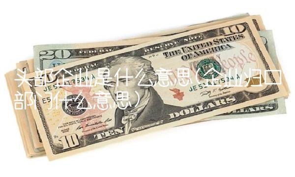 头部企业是什么意思(企业归口部门什么意思)