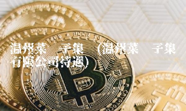 温州菜篮子集团(温州菜篮子集团有限公司待遇)