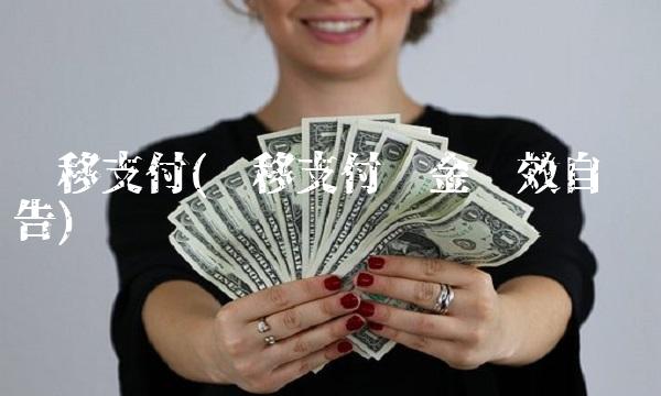 转移支付(转移支付资金绩效自评报告)