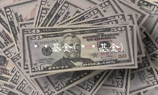 货币基金(货币基金)(1)