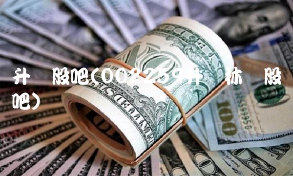 升达股吧(002259升达林业股吧)