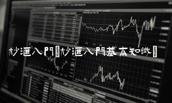 炒汇入门(炒汇入门基本知识)