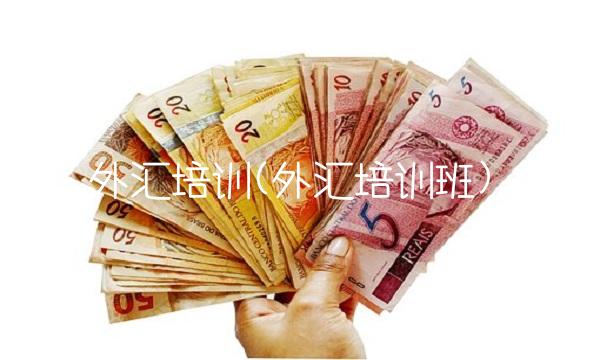 外汇培训(外汇培训班)