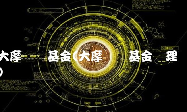 大摩华鑫基金(大摩华鑫基金经理)