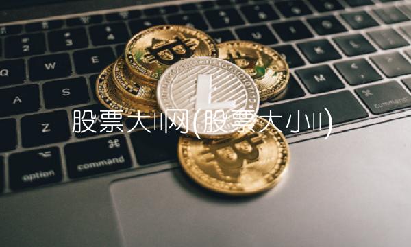 股票大单网(股票大小单)