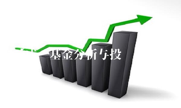 【成长基金分析与投资策略】