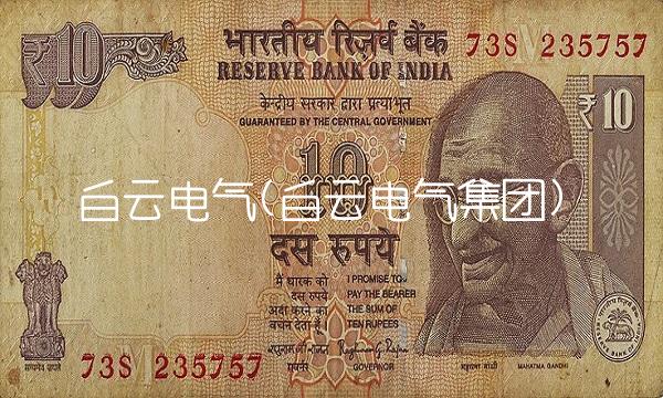 白云电气(白云电气集团)(1)