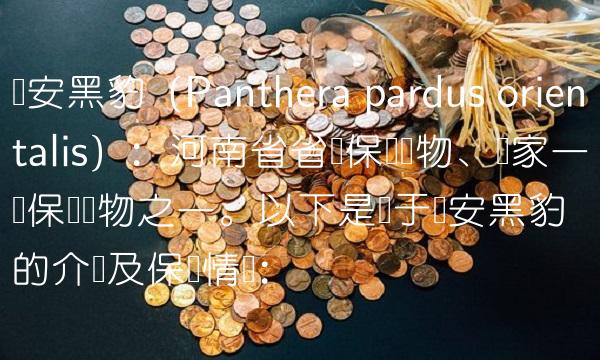 东安黑豹（Panthera pardus orientalis）：河南省省级保护动物、国家一级保护动物之一。以下是关于东安黑豹的介绍及保护情况：