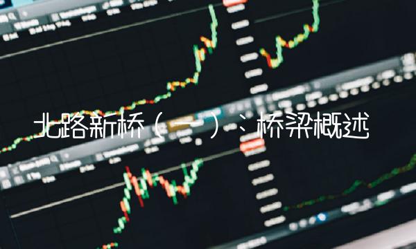 北路新桥（一）：桥梁概述