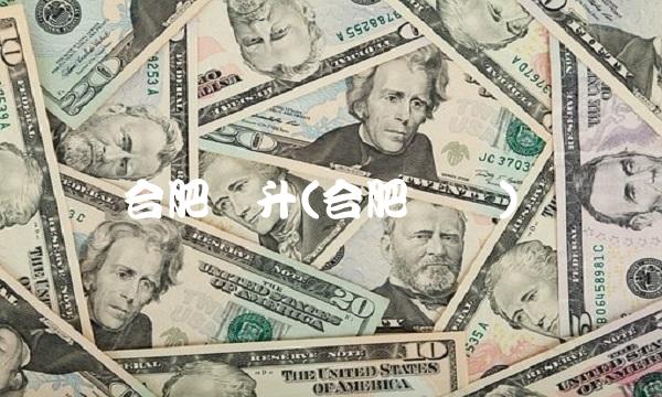 合肥华升(合肥华润)