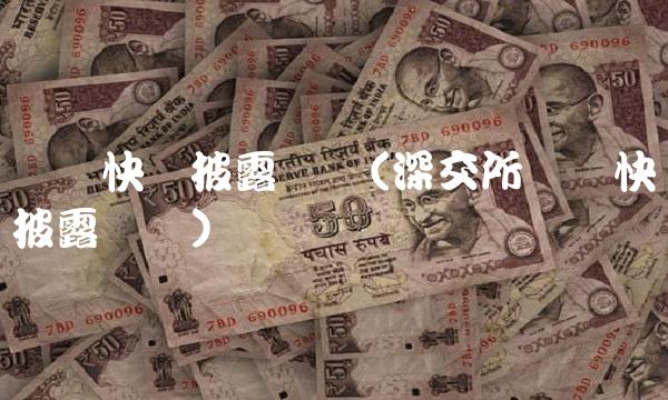 业绩快报披露规则(深交所业绩快报披露规则)