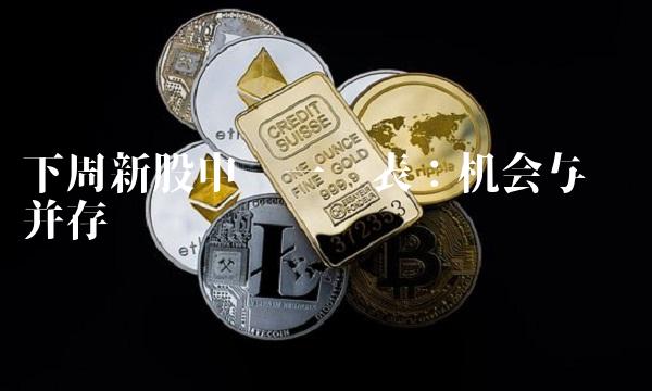 下周新股申购一览表：机会与风险并存