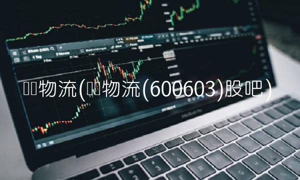 广汇物流(广汇物流(600603)股吧)(1)