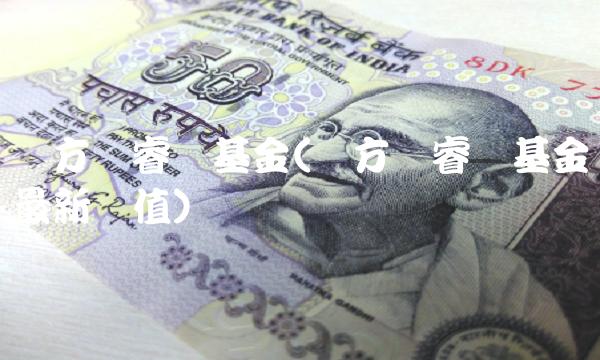 东方红睿泽基金(东方红睿泽基金最新净值)