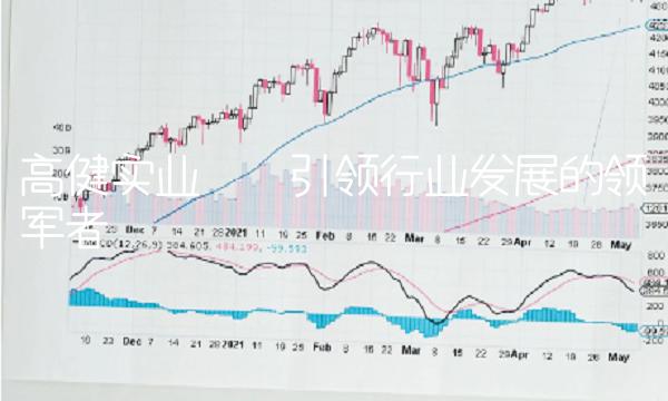 高健实业——引领行业发展的领军者