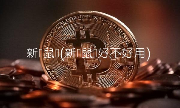 新贵鼠标(新贵鼠标好不好用)