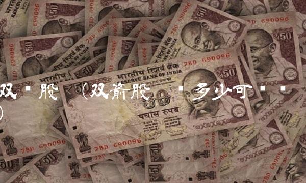 双钱股份(双箭股份发多少可转债)