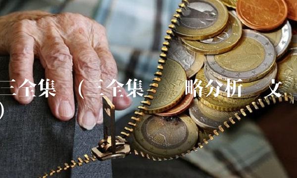 三全集团(三全集团战略分析论文)